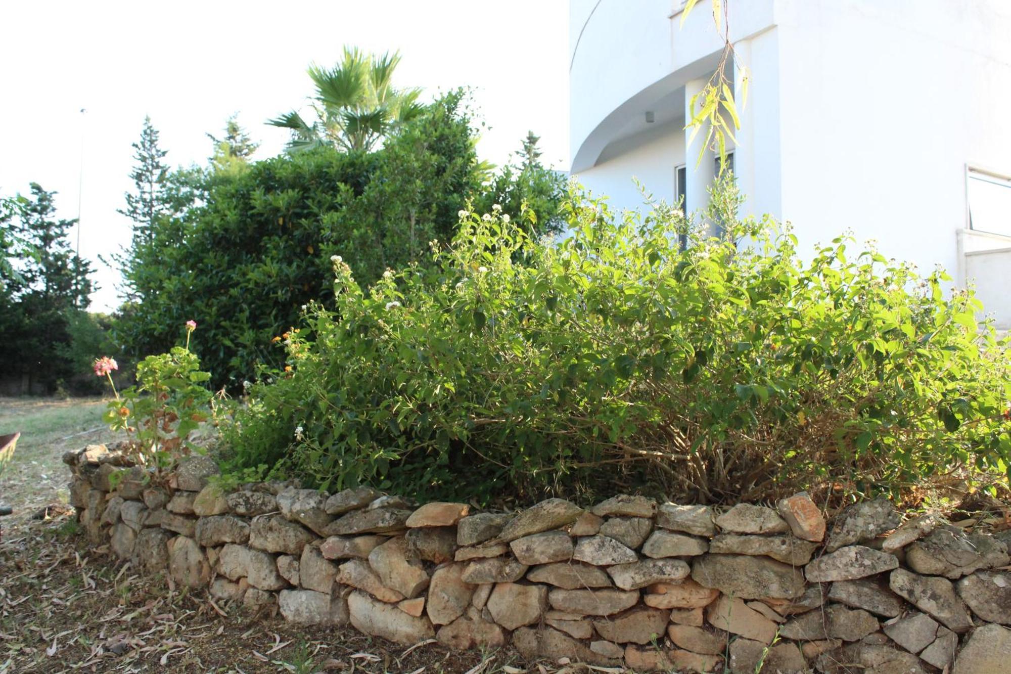 Boat Dreams , Garden Relax Apartment Matino Ngoại thất bức ảnh